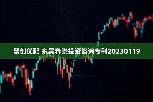聚创优配 东吴春晓投资咨询专刊20230119